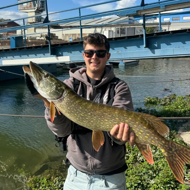 gian.fishing