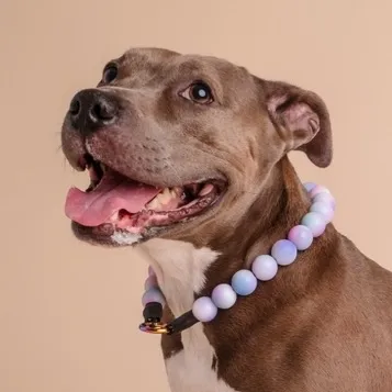 calypso.the.pit