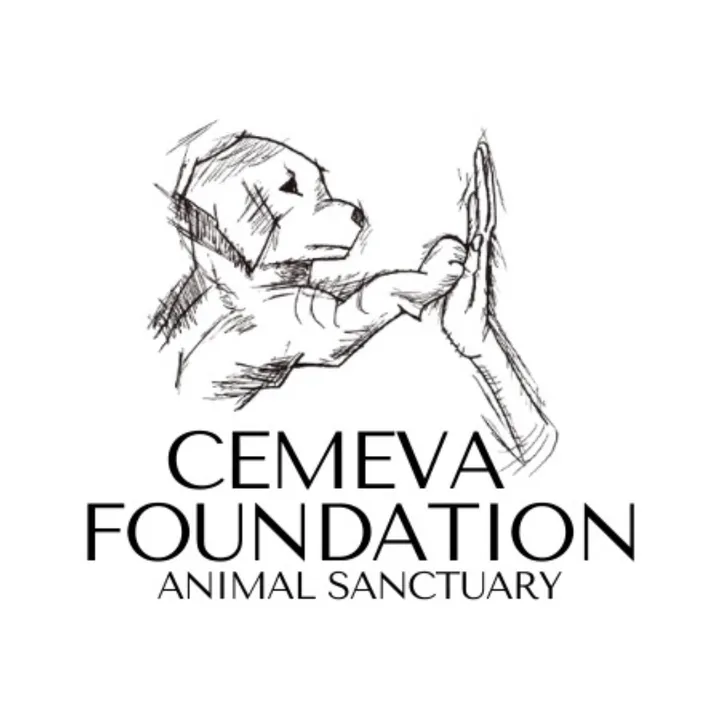 cemeva_foundation_org