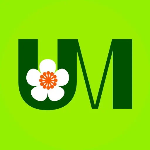 ujichamatcha