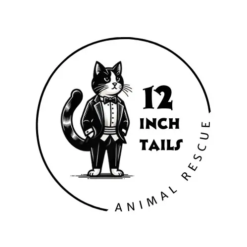 Tonya - suara asli - katlady4u