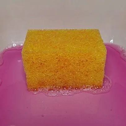 spongetok_