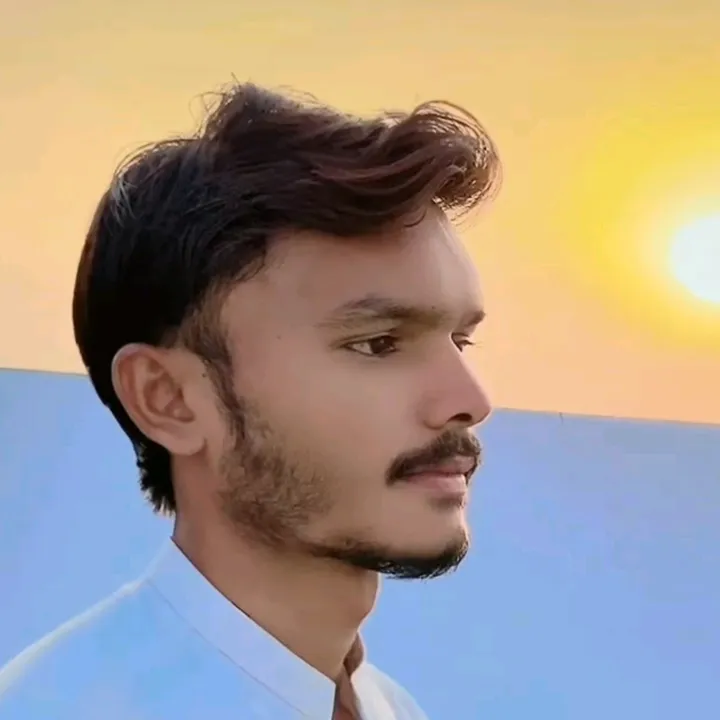 @juttbrand3981