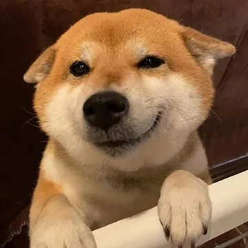 syedshuey