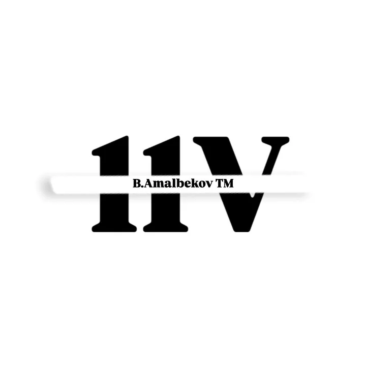 11v_amalbekovv
