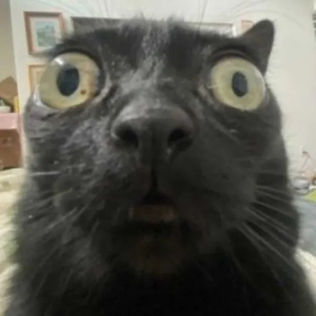 floppydisktm