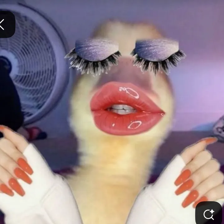 randomlyclipzzz