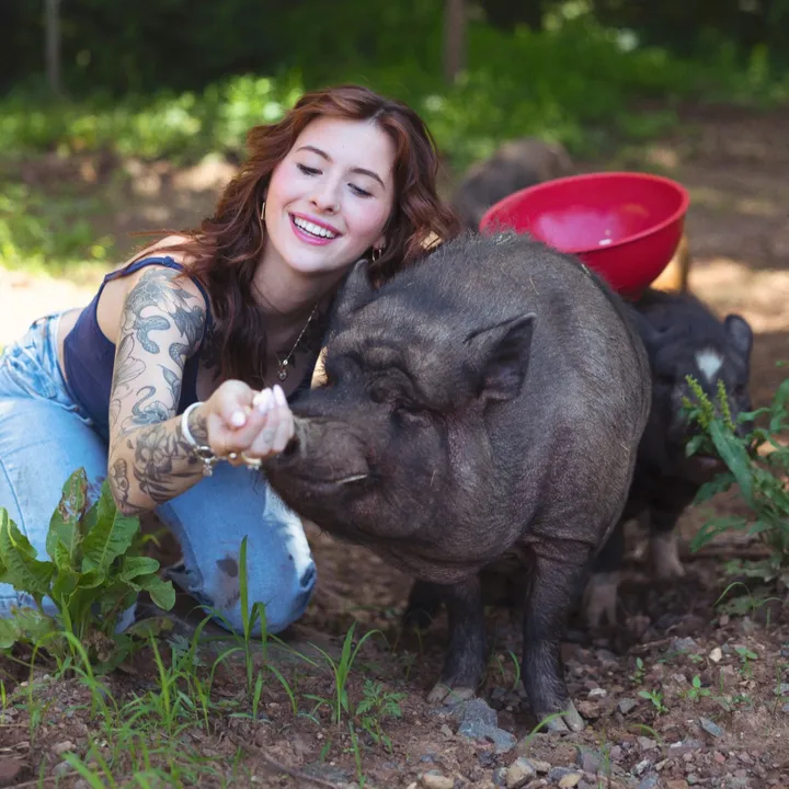 theporksquad