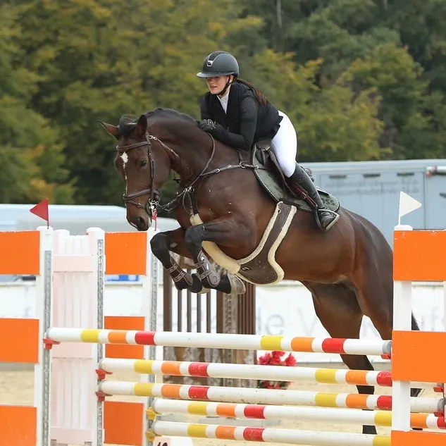 @showjumping.lp