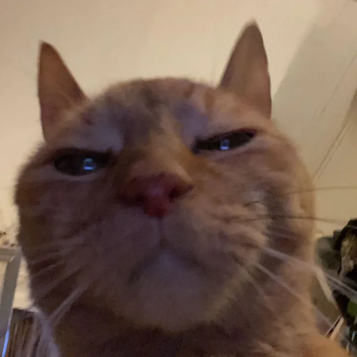fiona4thoswhodkme