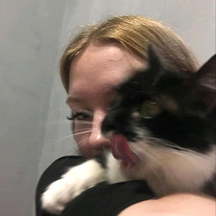 c - suara asli