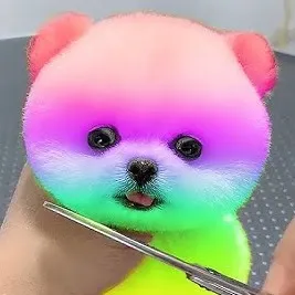 @funny.animal26