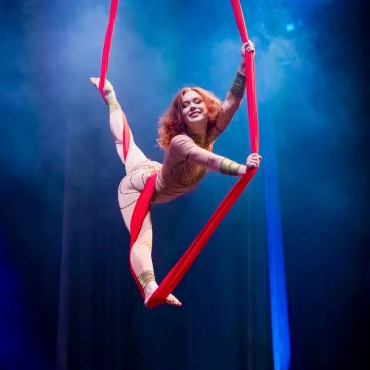 ginger_aerials