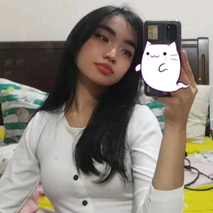 ✿ - fidget smp