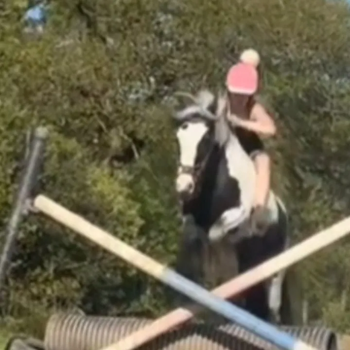 lucy.candy5