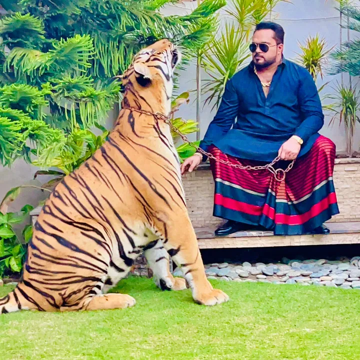 @miansaqibtiger