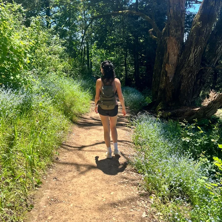 trailfairy