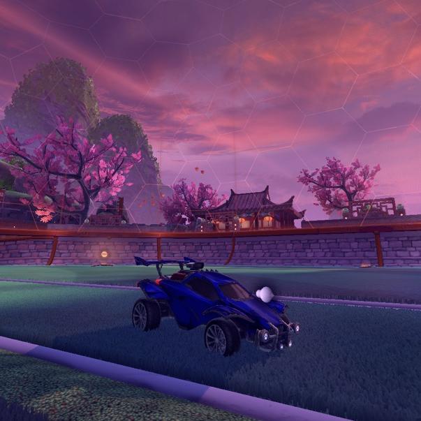 squid_rl - Originalton