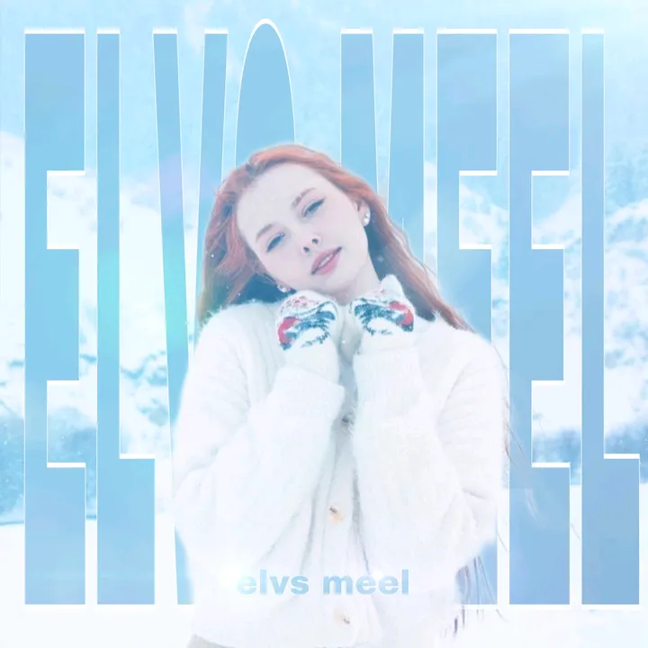 nnelvs1