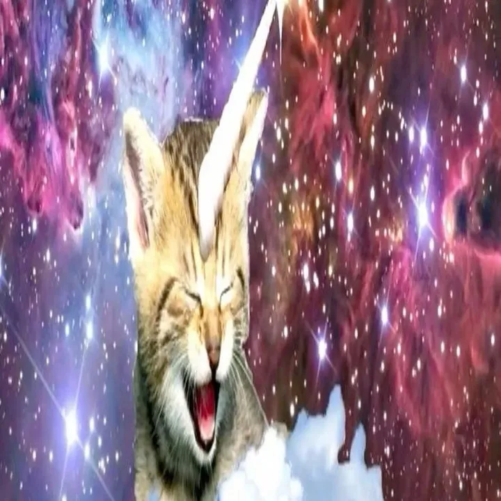 unicornfartz07
