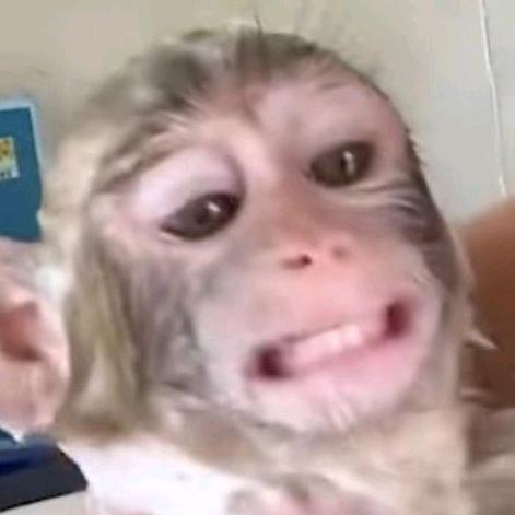 MonkeyMagic - suara asli