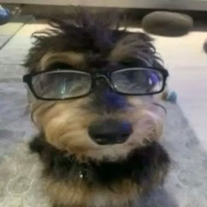 tguaton