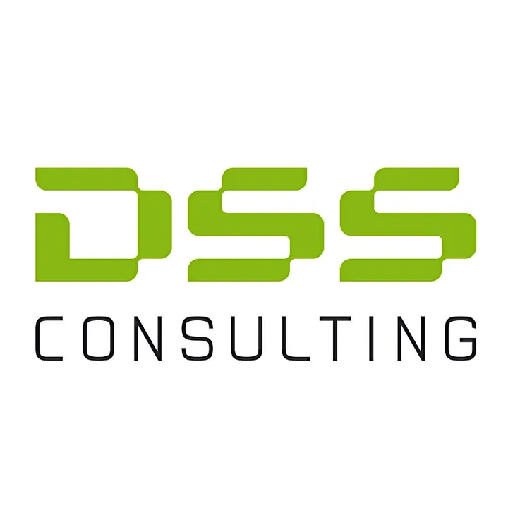 dss.consulting