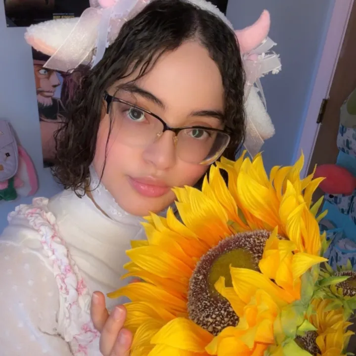 @toastychao