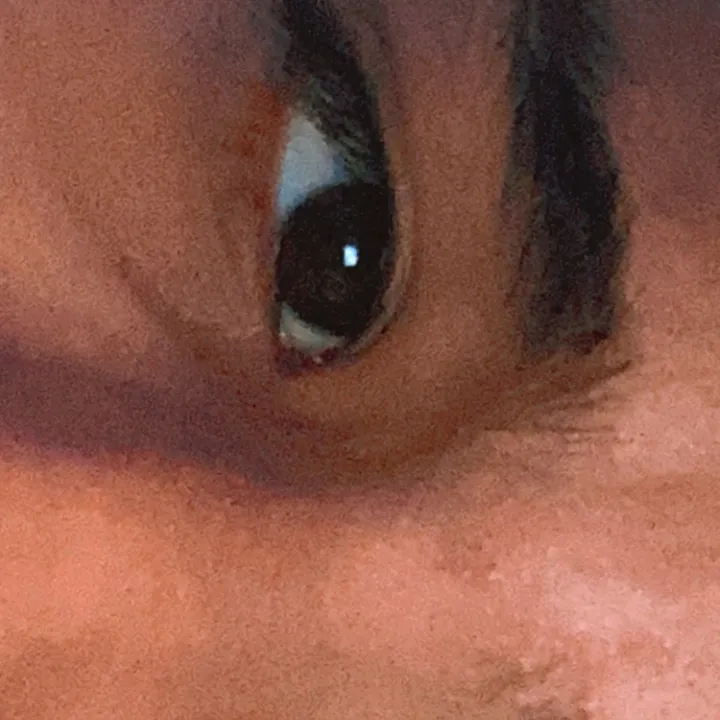 @brunorola