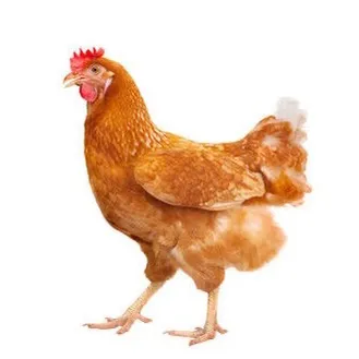 ethanmuth69