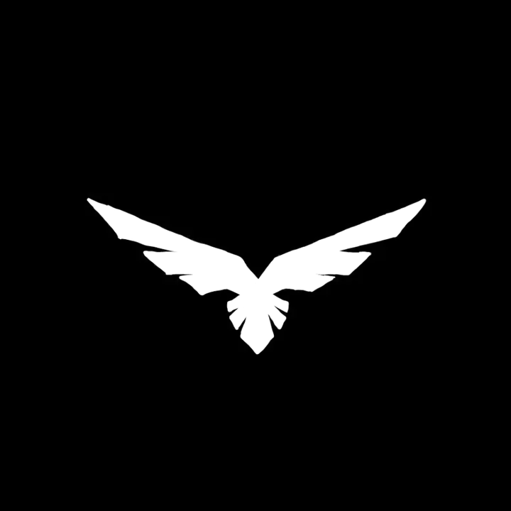 🕷 - dzanum