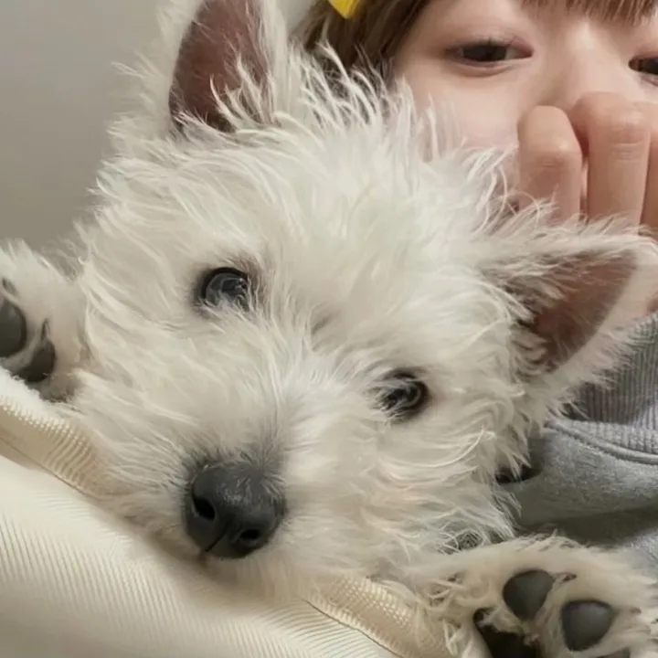 @yy.z677