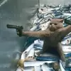 _yo_shiiii_