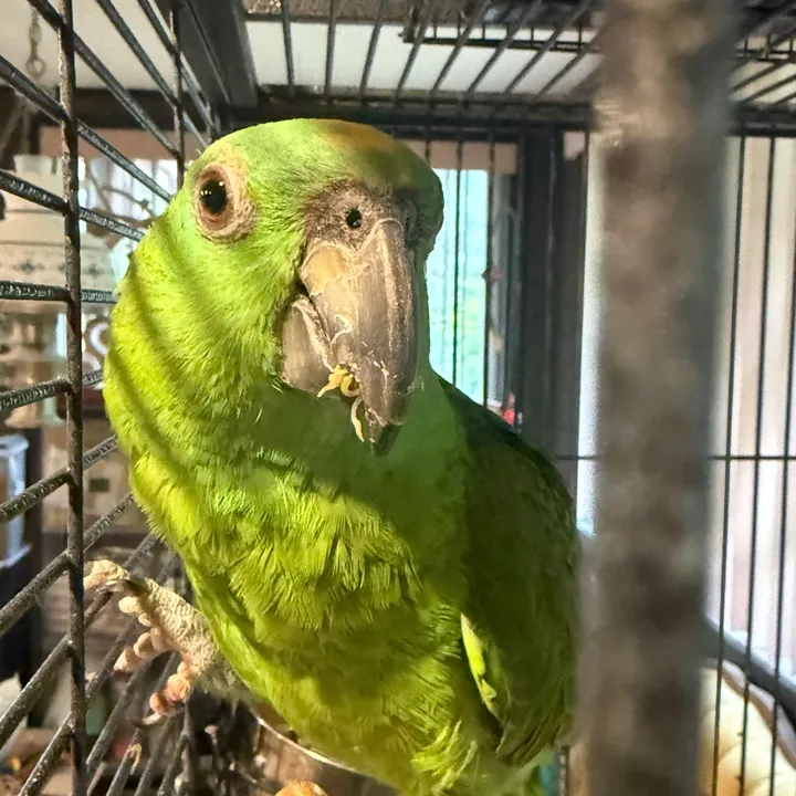 @simple.sanctuary