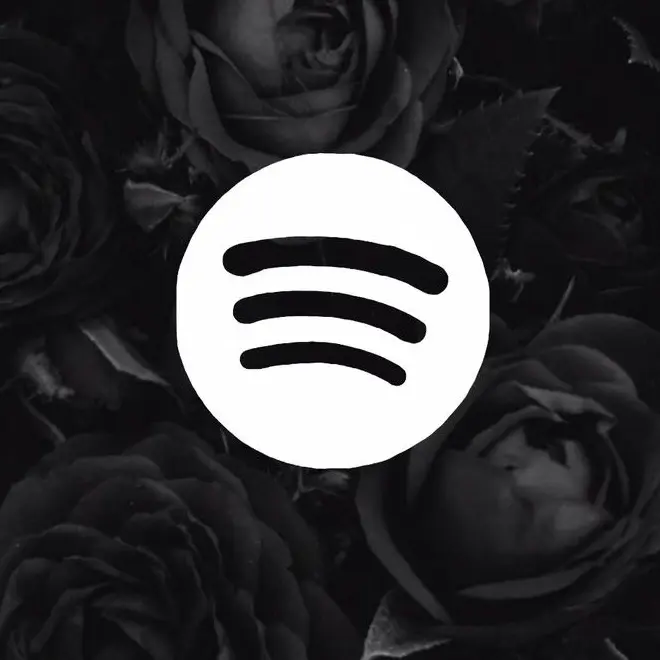 𝐒𝐩𝐨𝐭𝐢𝐟𝐲🧨 - suara asli