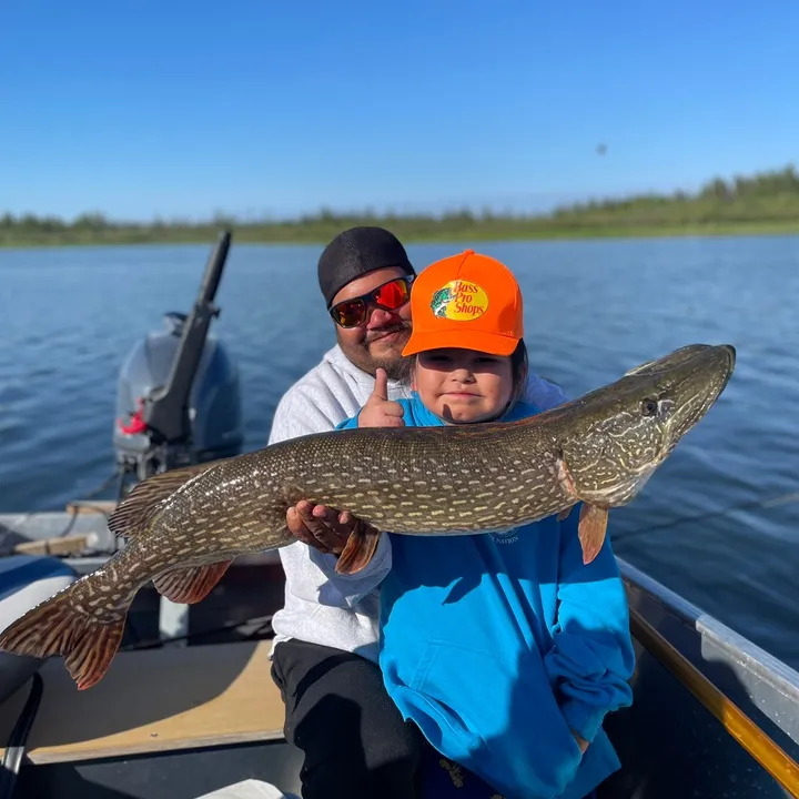 michaeltrout4