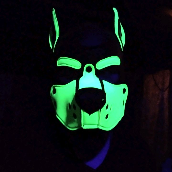 pupnyonblitz