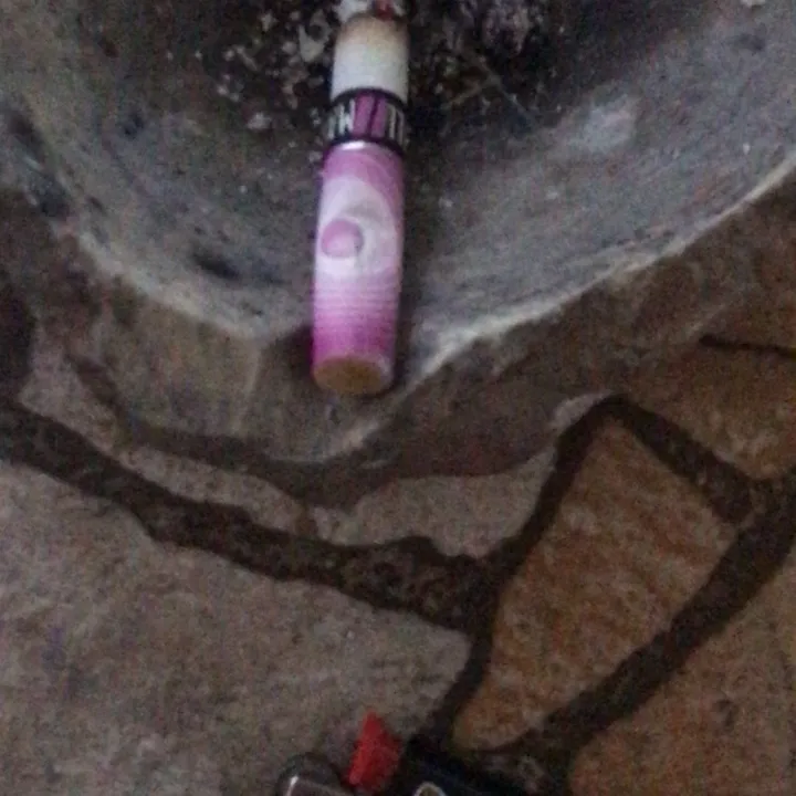 antololazo0