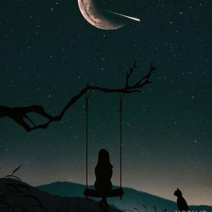 @its._.pari._.official