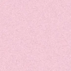 @ihatenascarr