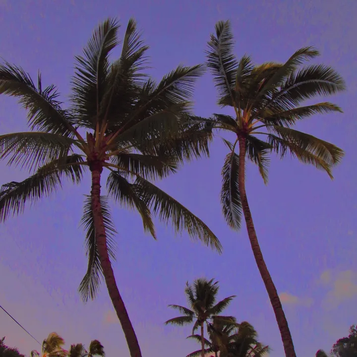 reachmcmxcix