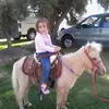 .janatalie