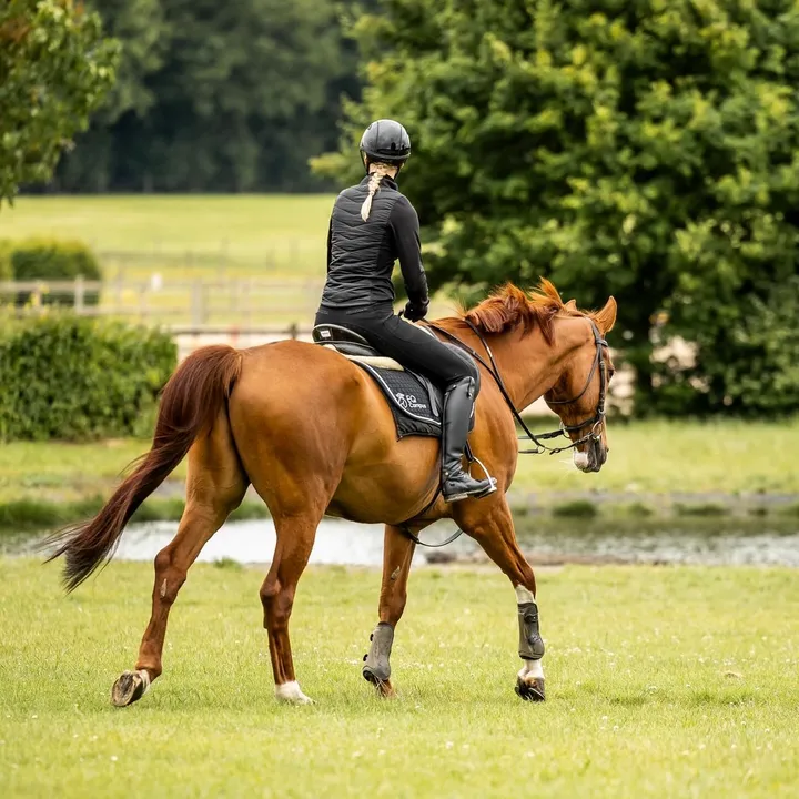 @...sophie.equine