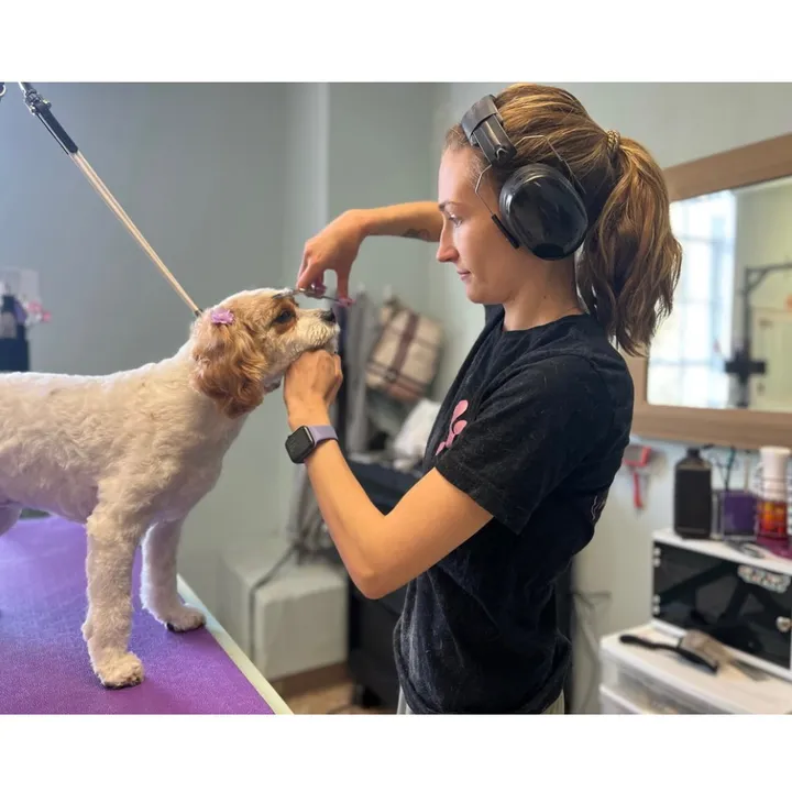 @briellejonespetgrooming
