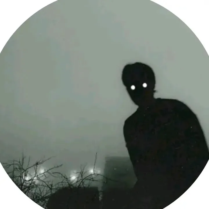@qtzt_