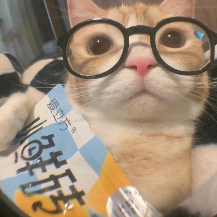 yusen - suara asli