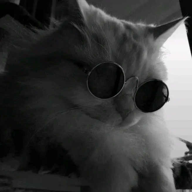 𝙍𝙞𝙨𝙓𝙎𝙩𝙪𝙙𝙚𝙣𝙩⸸ - original sound - risxasliii