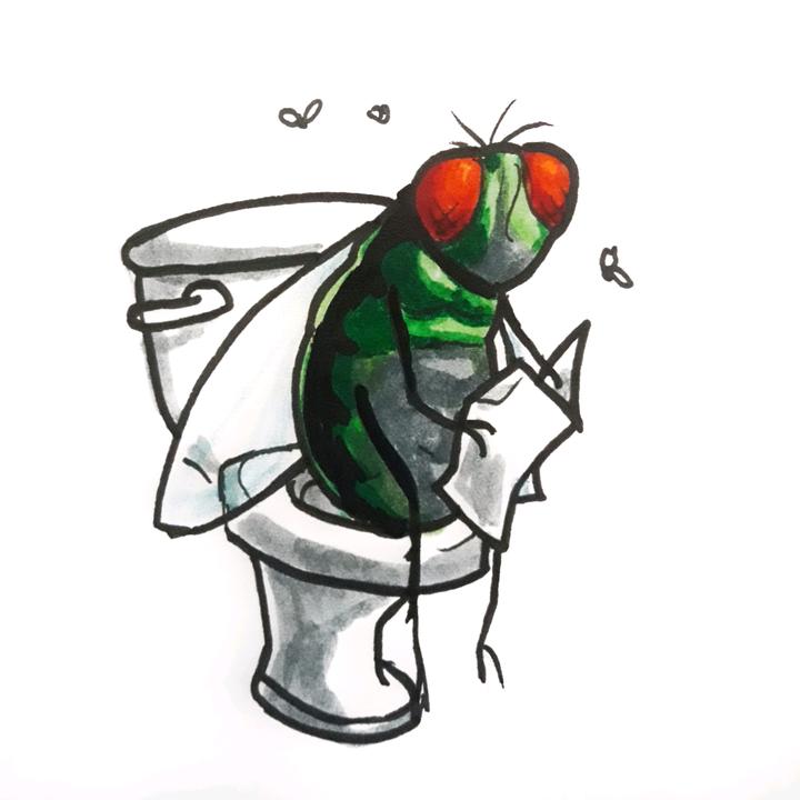 mosca - suara asli
